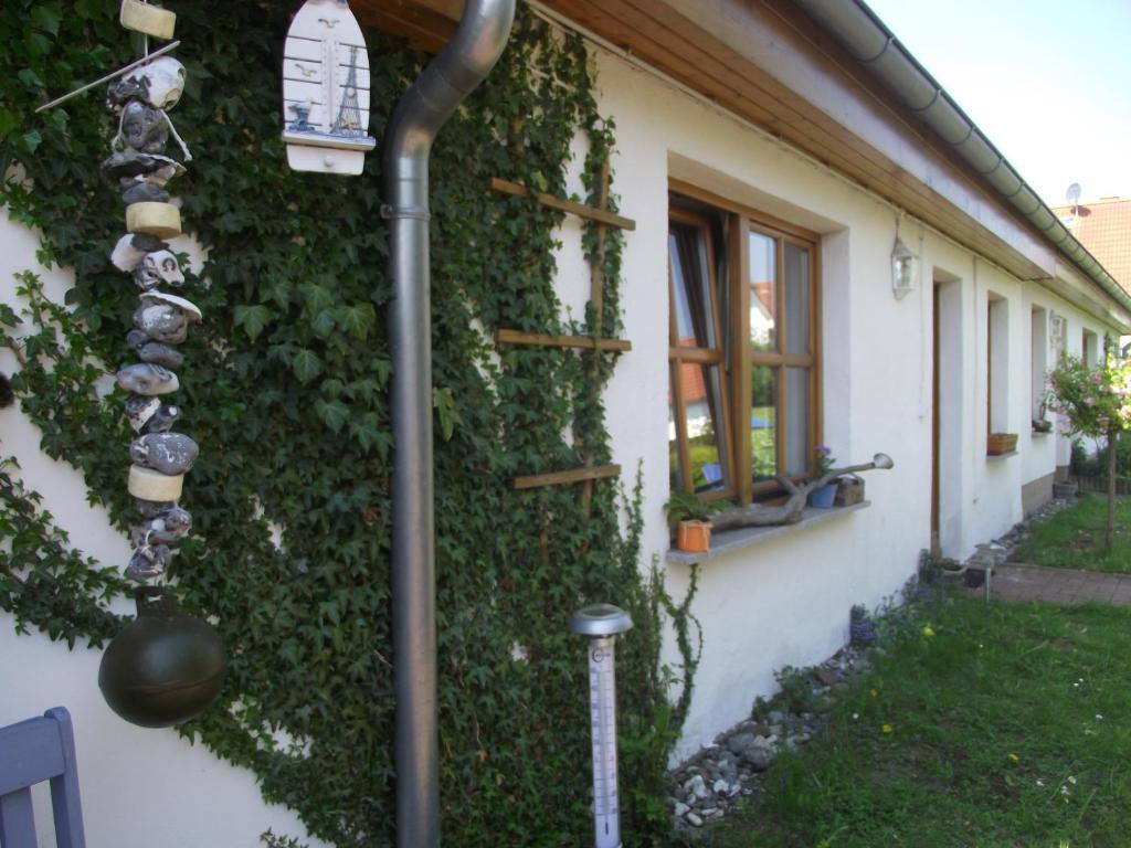 Ferienhäuser Pankow Sassnitz Rum bild